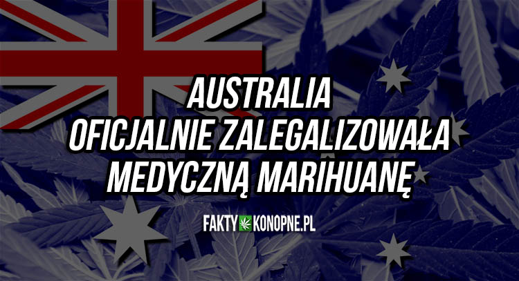 Australia zalegalizowała medyczną marihuanę