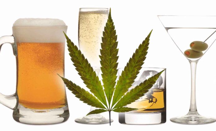 Użytkownicy marihuany częściej miewają problemy z alkoholem