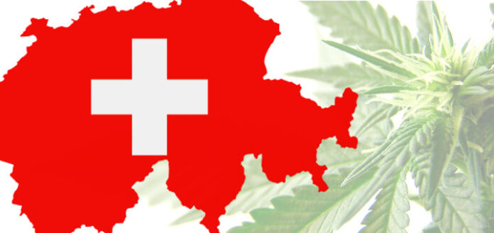 Kluby konopne powstaną w czterech Szwajcarskich miastach
