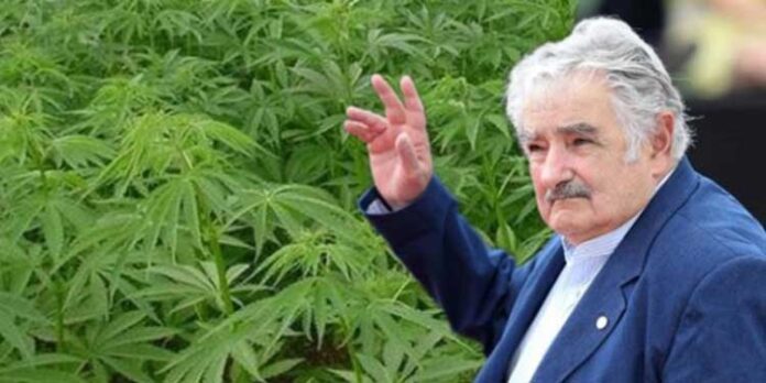 w 2016 roku Urugwaj rozpoczene sprzedaż marihuany