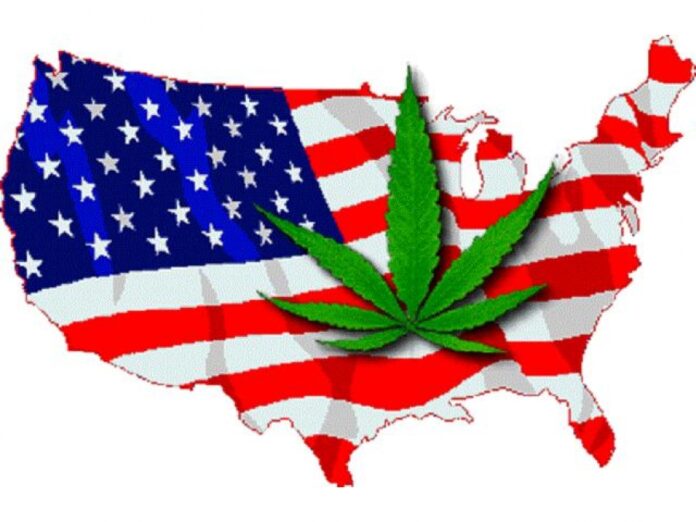 61% Amerykanów popiera legalizacje marihuany