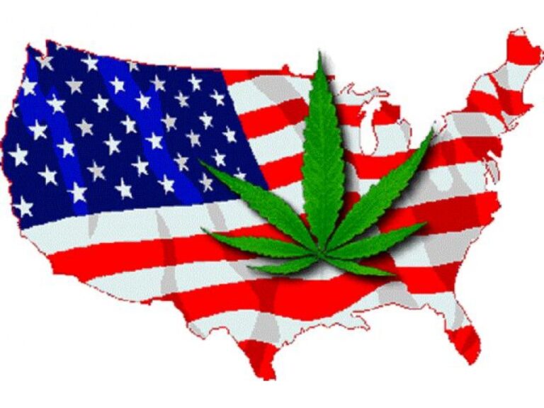 Rekordowe poparcie dla legalizacji marihuany w USA. Już 66% Amerykanów twierdzi, że marihuana powinna być legalna