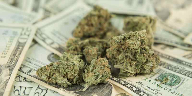 marihuana i pieniądze