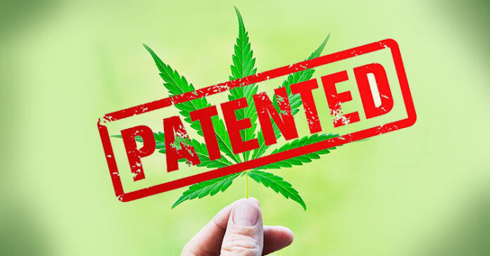 patent USA na marihuane