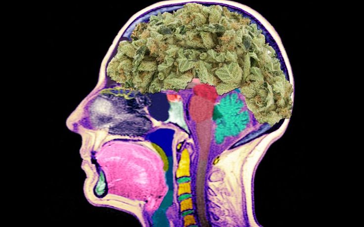 wpływ długotrwałego palenia marihuany na mózg