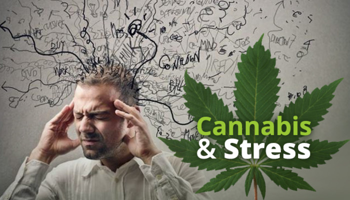 cannabisandstress