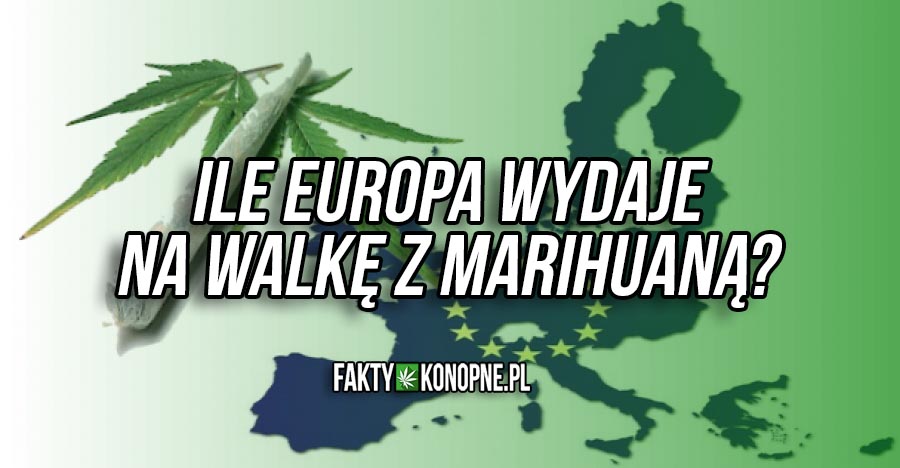 europa wydaje na walke z marihuaną ponad 10 milionów euro