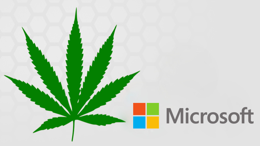 Microsoft wchodzi w przemysł marihuany