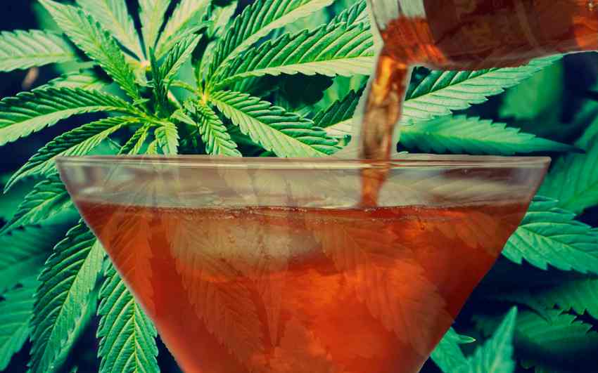 AlcoholIndustry Cannabis 1