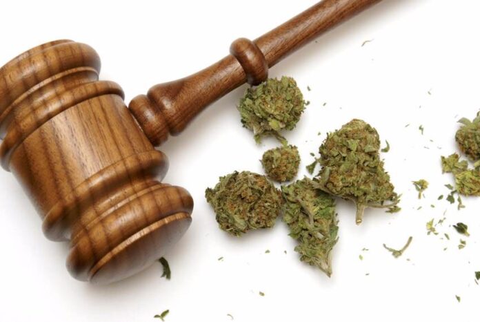 Amerykański sąd zakazał ścigania dealerów medycznej marihuany