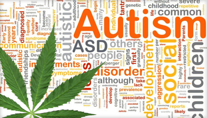 izraelski lekarz będzie badał wpływ medycznej marihuany na autyzm