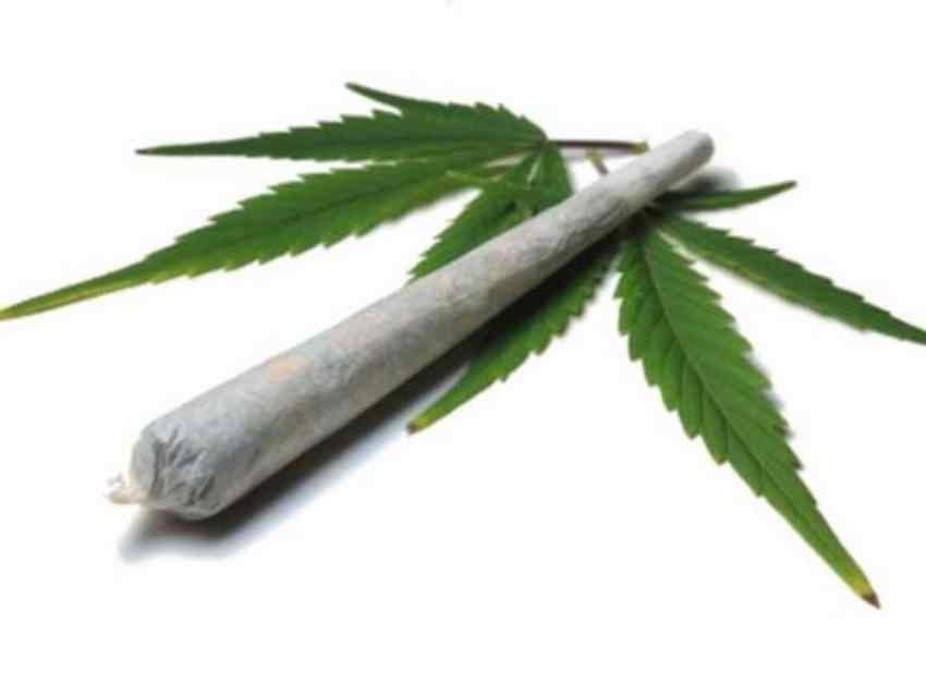 legalizacja marihuany nie zwieksza jej uzycia wsrod mlodziezy