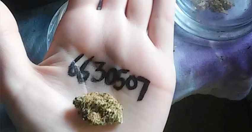 marijuana hand social site