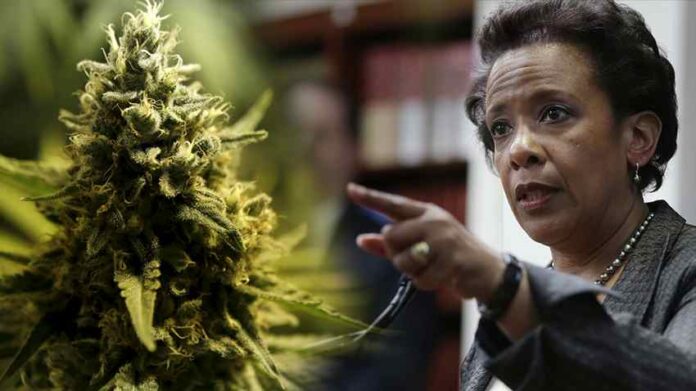 Loretta Lynch - Prokurator Generalny twierdzi, że marihuana nie jest bramą do narkotyków