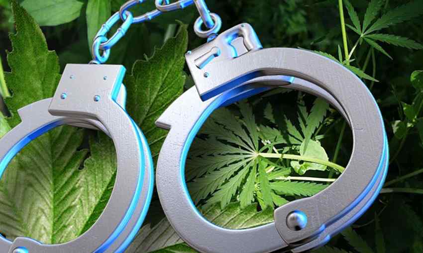 marihuana aresztowania