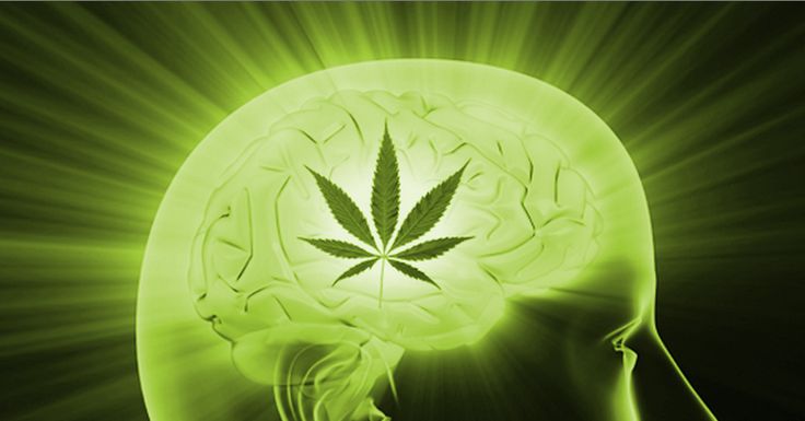 marihuana zmniejsza częstość występowania migreny