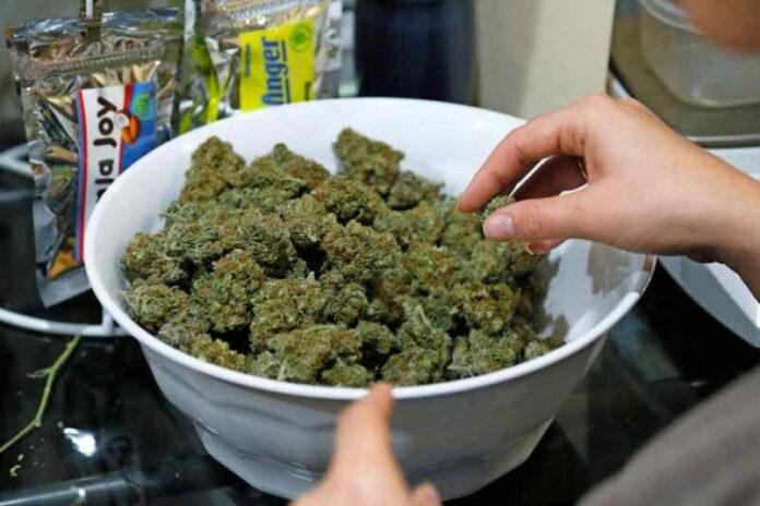 Holandia jest coraz bliżej pełnej legalizacji marihuany