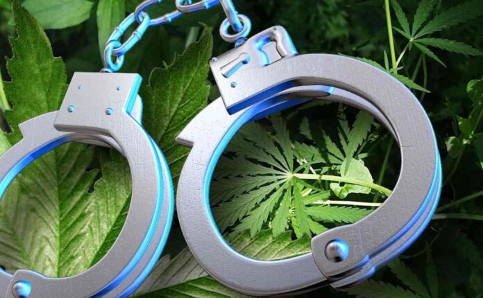 liczba aresztowań za posiadanie marihuany jest większa niż suma aresztowań za przestępstwa związane z przemocą
