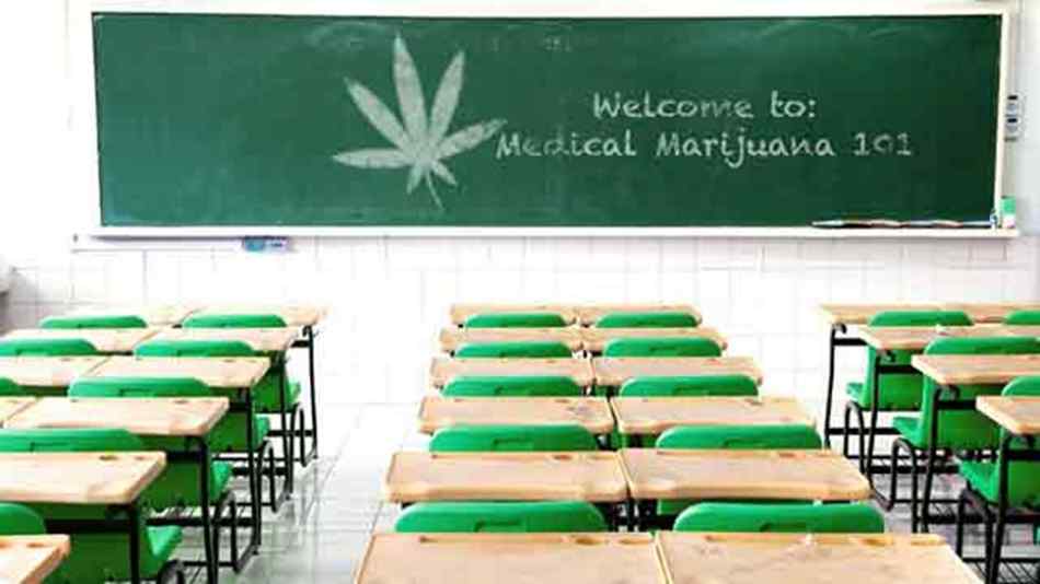 marihuana szkoła nauka