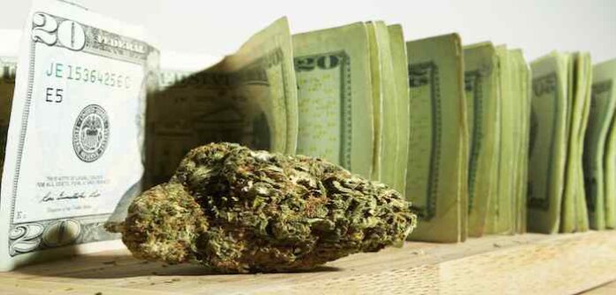 każdego dnia stan waszyngton zarabia prawie milion doolarów ze sprzedaży medycznej marihuany