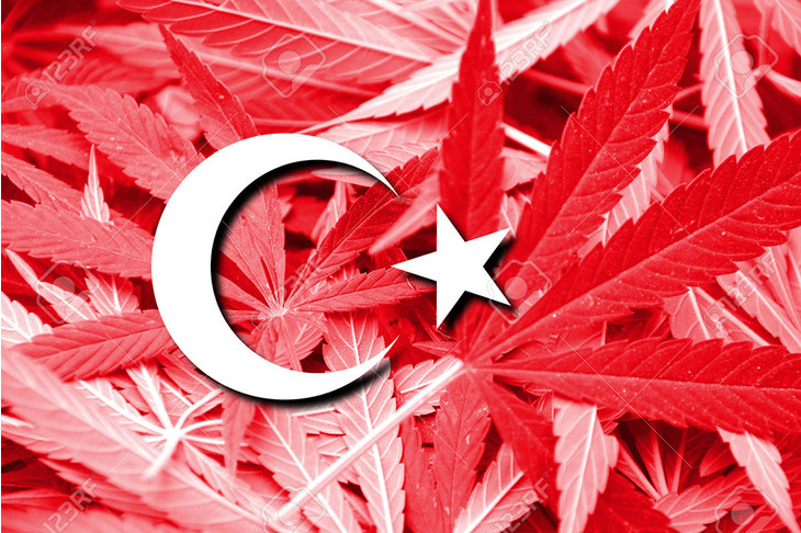 turcja legalizuje uprawe marihuany do celów medycznych i naukowych