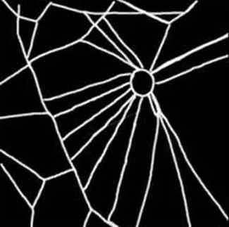 sieć pająka zbudowana pod wpływem srodka nasennego