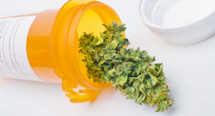 Rząd zalegalizuje medyczną marihuanę