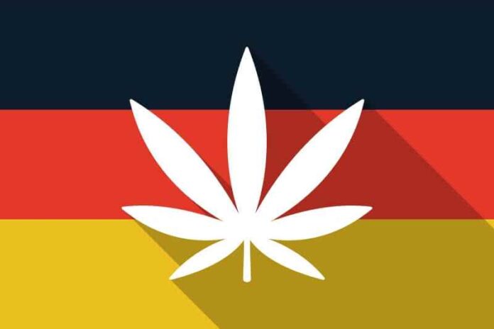 berlin coraz bliżej legalizacji marihuany