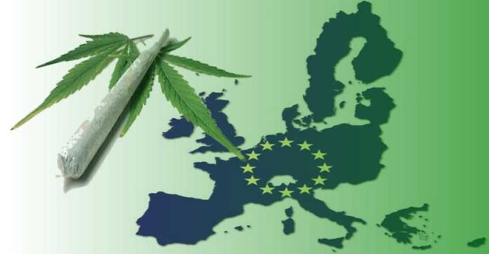 Trwają prace nad legalizacją marihuany w Unii Europejskiej