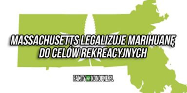 Massachusetts legalizuje marihuane do celów rekreacyjnych
