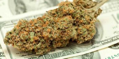 kolejny rekord sprzedaży legalnej marihuany w Wasyzngtonie