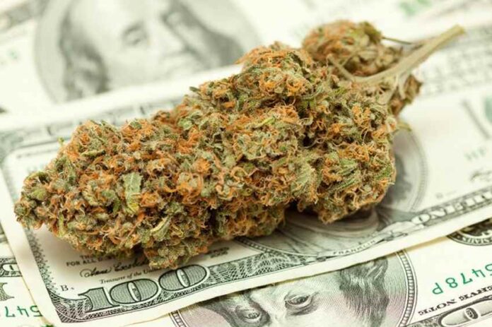 kolejny rekord sprzedaży legalnej marihuany w Wasyzngtonie