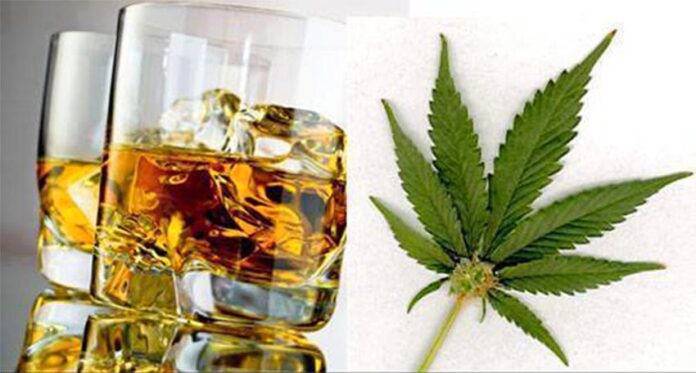 Wpływ legalizacji marihuany na sprzedaż alkoholu