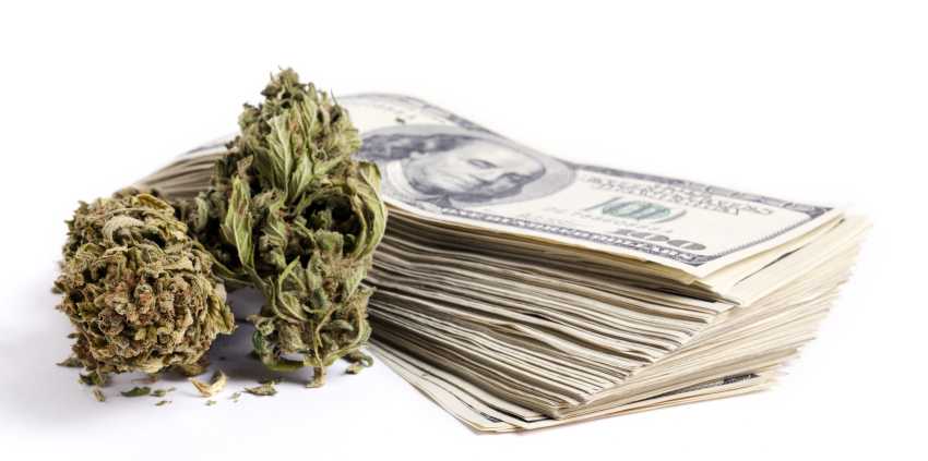 amerykanie wydali na marihuane 53 miliardy dolarow