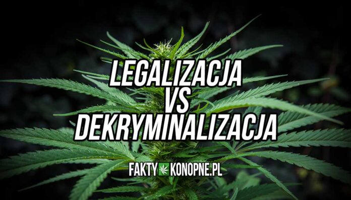 Różnice między legalizacją a dekryminalizacją marihuany