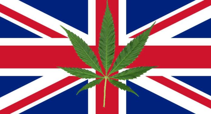 legalizacja marihuany w Wielkiej Brytanii
