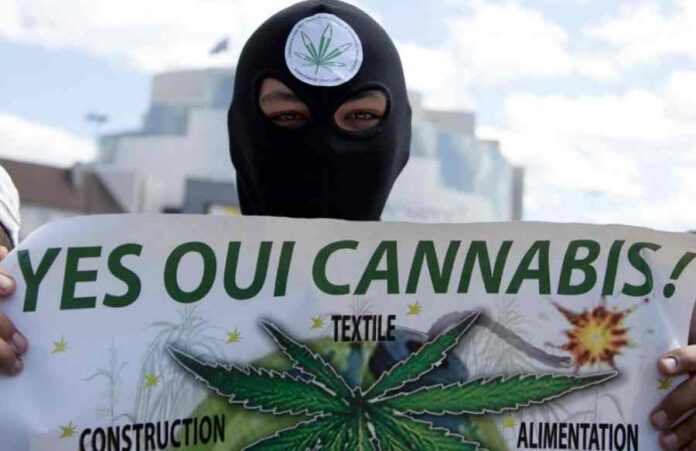 legalizacja marihuany we francji
