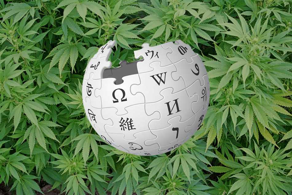 wikipedia marihuana