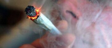 Kanadyjska firma zapłaci 1000$ miesięcznie za palenie marihuany