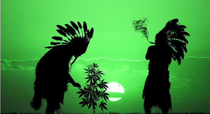indianie marihuana