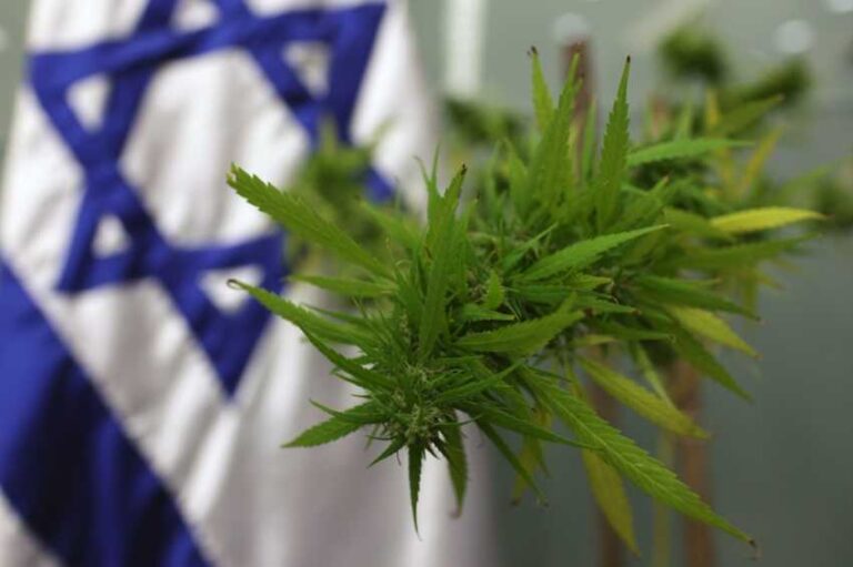 Izrael dekryminalizuje marihuanę do celów rekreacyjnych