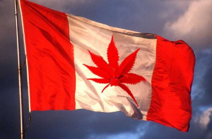 kanada zalegalizuje marihuane w 2018 roku