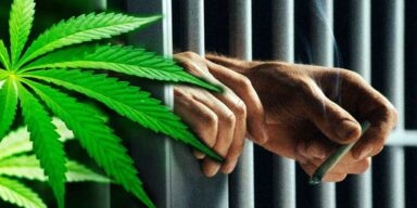 marihuana-wiezienie