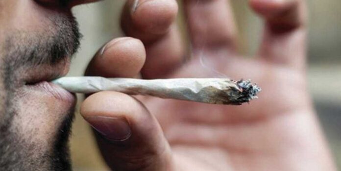 efekty palenia marihuany w młodości