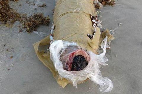 Large bale of marijuana washes up on Florida beach