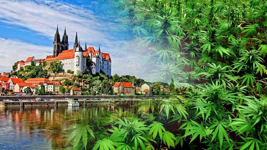 Dekryminalizacja marihuany w Czechach