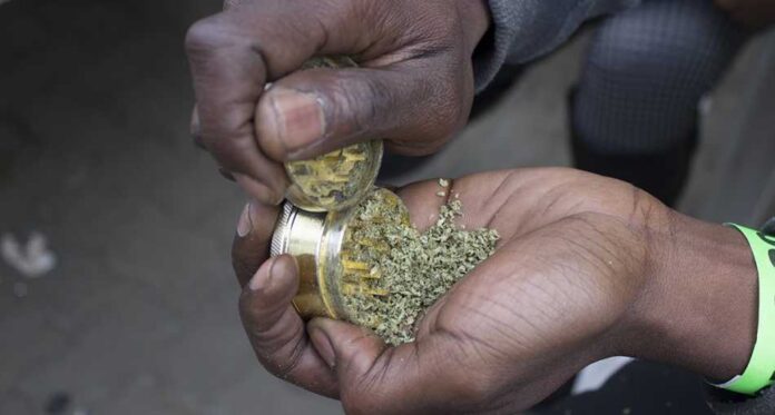 Republika Południowej Afryki dekryminalizuje marihuanę. Jej zakaz jest niezgodny z konstytucją
