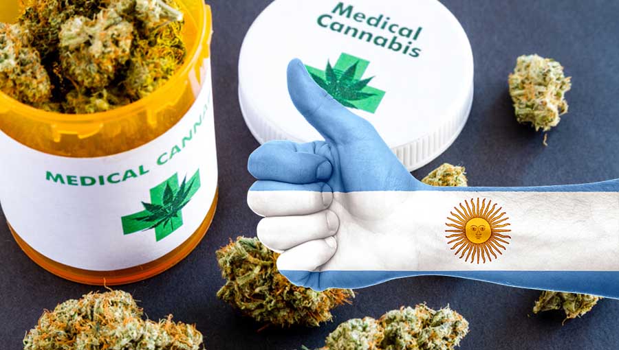 medyczna marihuana argentyna darmowa dla pacjentów fakty