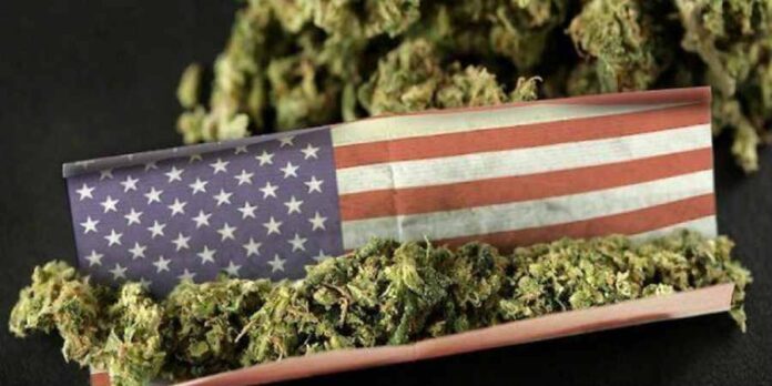 Legalizacja marihuany na poziomie federalnym może przynieść miliardy dolarów zysku