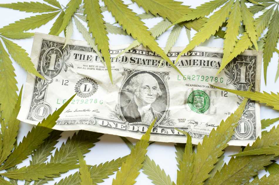 Oregon szacuje zyski ze sprzedaży legalnej marihuany
